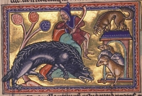 wolf-aberdeen-bestiary